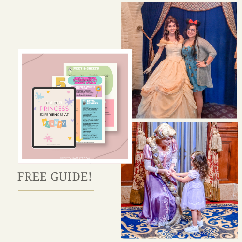 Brianna Ognibene Princess Guide Landing Page 